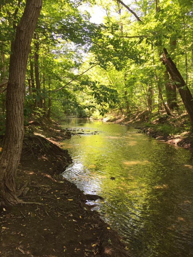 21231302_2059613224269065_5331966546871441428_n