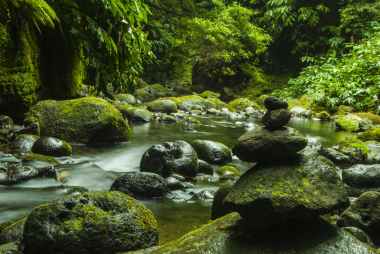 boulder cascade creek environment